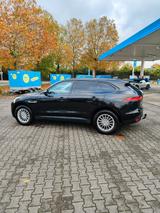 Jaguar F-Pace 20d AWD Pure Automatik Pure - Jaguar F-Pace von privat