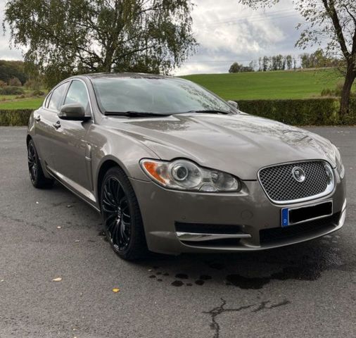 Jaguar XF 4,2 V8