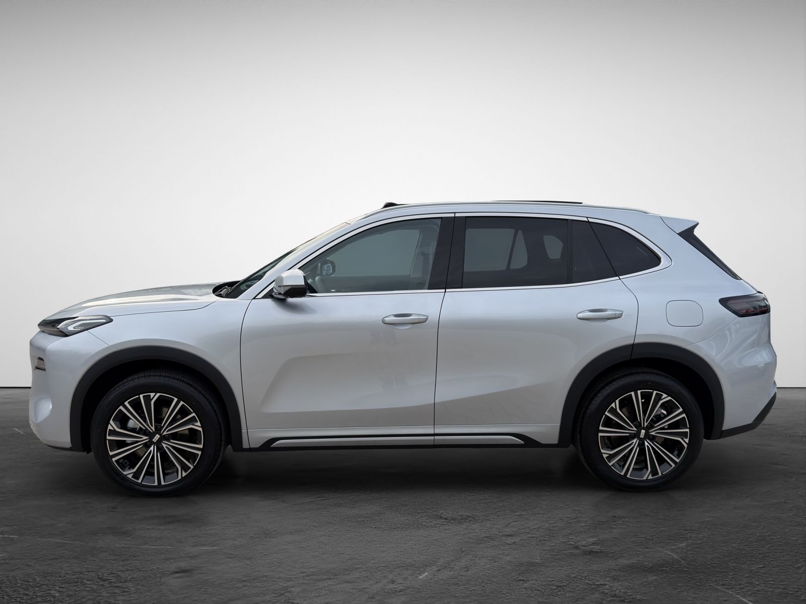 Geely Starray EM-i Max+ Max+  HeadUp Panodach Navi LED imagem 3