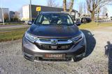 Honda CR-V Hybrid e:HEV 2.0 4WD Executive 1.Hand - Honda Gebrauchtwagen in Hamm