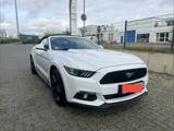 Ford Mustang 2.3 EcoBoost Cabriolet  - Ford Mustang Gebrauchtwagen in Hannover