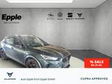 Cupra Formentor 4Drive 2.0 Sportpaket Navi Leder TopVi - Cupra Formentor Gebrauchtwagen