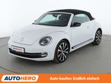 Volkswagen Beetle 2.0 TSI Sport BMT Aut. *NAVI*TEMPO*PDC* - Volkswagen Beetle: Cabrio