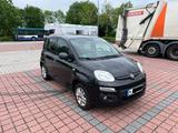 Fiat New Panda 1.2 8V LOUNGE LOUNGE - Fiat New Panda in München
