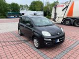 Fiat New Panda 1.2 8V LOUNGE LOUNGE - Fiat New Panda von privat