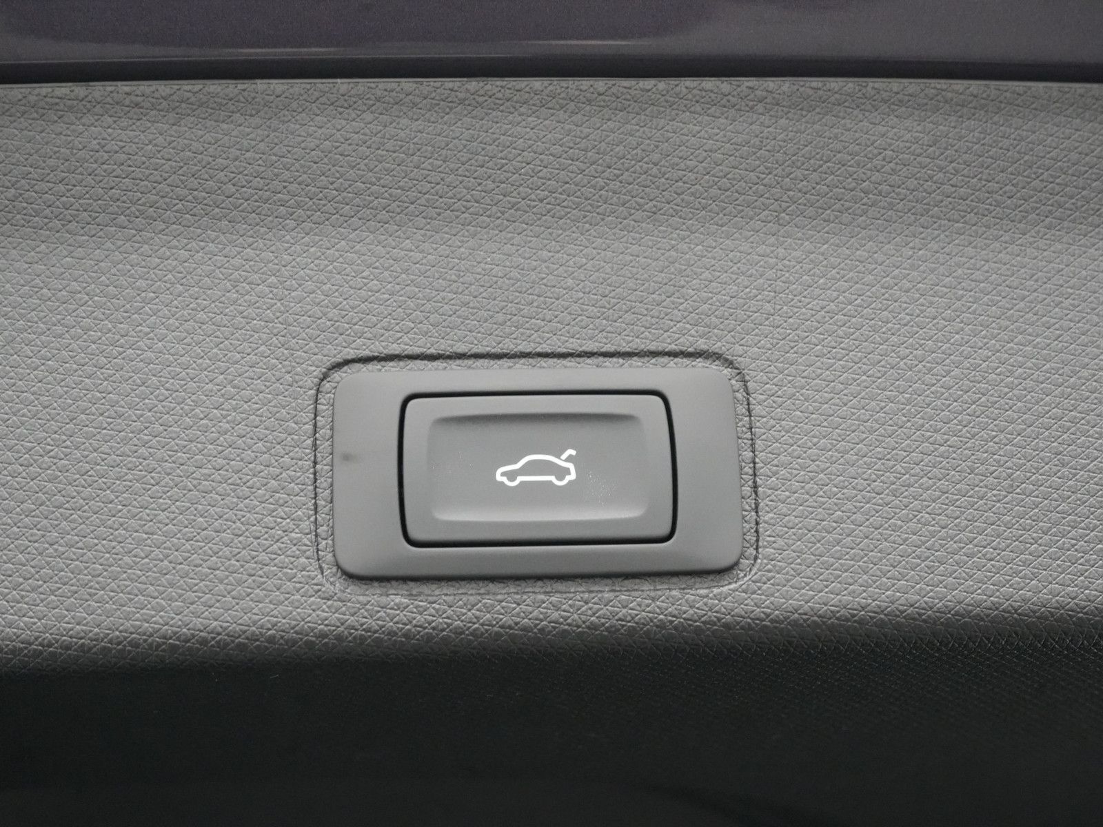 Cupra Terramar - Bild 8