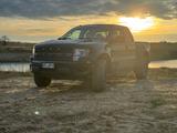 Ford F150 Raptor  - Ford Raptor: 150