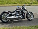 Harley-Davidson V-Rod Thunderbike Komplettumbau Fat Mary - HARLEY-DAVIDSON 2003 V ROD