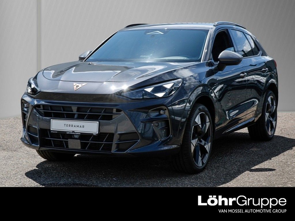 Terramar 1.5 eTSI 110kW/150PS 7-Gang-DSG