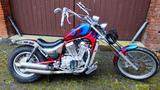 Suzuki VS 800 GLP Intruder Chopper  - Offers