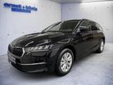Skoda Octavia Combi 2.0 TDI DSG Selection AHK NAVI RFK - Skoda Octavia Tageszulassungen