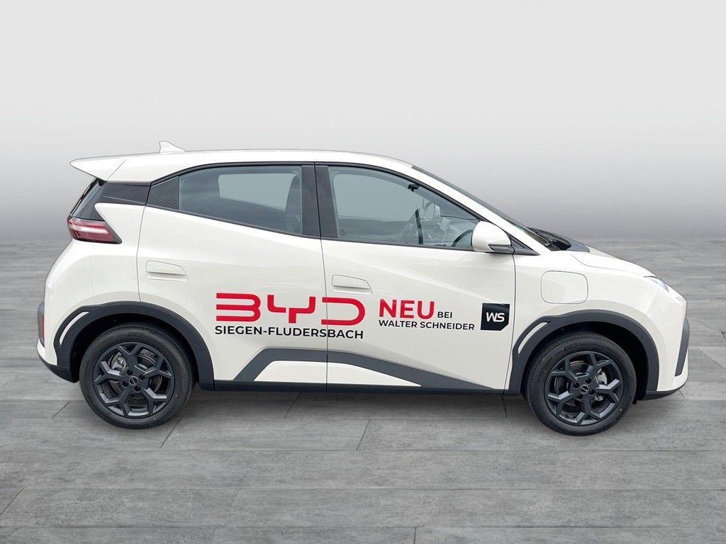 BYD DOLPHIN SURF