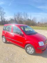 Fiat Panda - Fiat Panda Gebrauchtwagen in Nürnberg