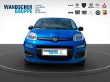 Fiat Panda 1.0 Pandina Pop PDC+SpurH+Facelift+Klima - Fiat Panda: 1.1