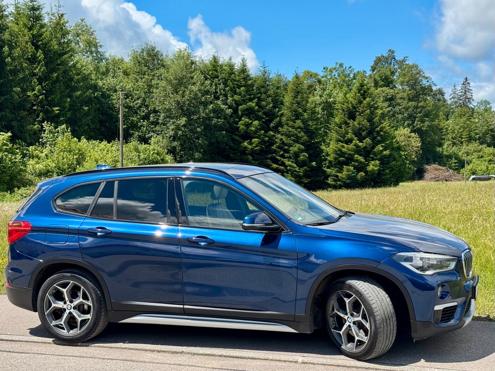 BMW BMW x1 xdrive 25d xLine (F48) ~Pano~AHK~He...