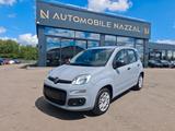 Fiat PANDA EASY*KLIMA*2.HAND*COLORE ESTERNO KREIDE* - Fiat Panda: Easy