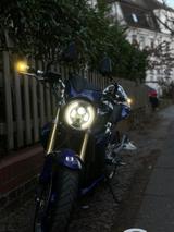 Honda CB 600 Hornet, PC 36, BJ 2007, A2 - Offers