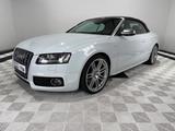 Audi S5 3.0 TFSI Stronic quattro Cabriolet°Navi°ACC - weiße Audi S5
