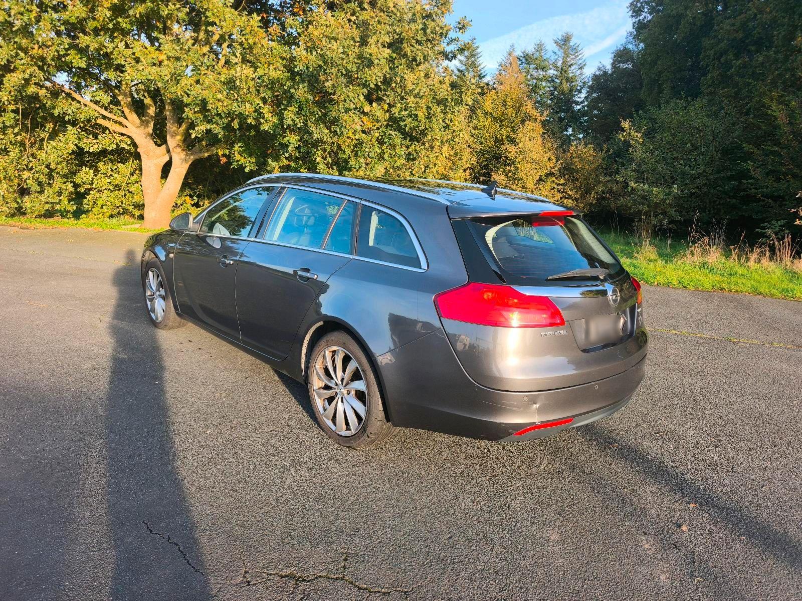 Opel Insignia 2009 — photo 7