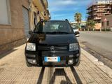 Fiat Panda 1.2 Alessi - Fiat Panda Alessi mit Benzin-Antrieb
