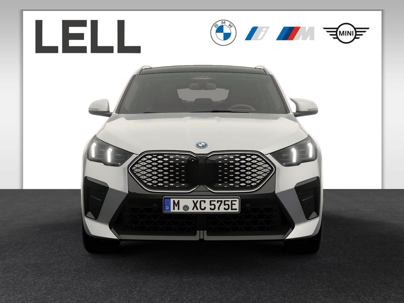 BMW iX2 xDrive30 M Sportpaket Head-Up HK HiFi DAB imagem 2