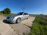 Mercedes-Benz E 270 CDI T AVANTGARDE Avantgarde - Mercedes-Benz E 270: T Cdi