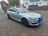 Audi A4 Allroad 45 TFSI S tronic quattro Avant - - Audi A4 Allroad aus 2019