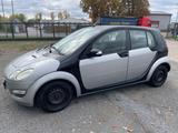 Smart ForFour 1,3 pulse pulse - Smart ForFour Pulse mit Benzin-Antrieb