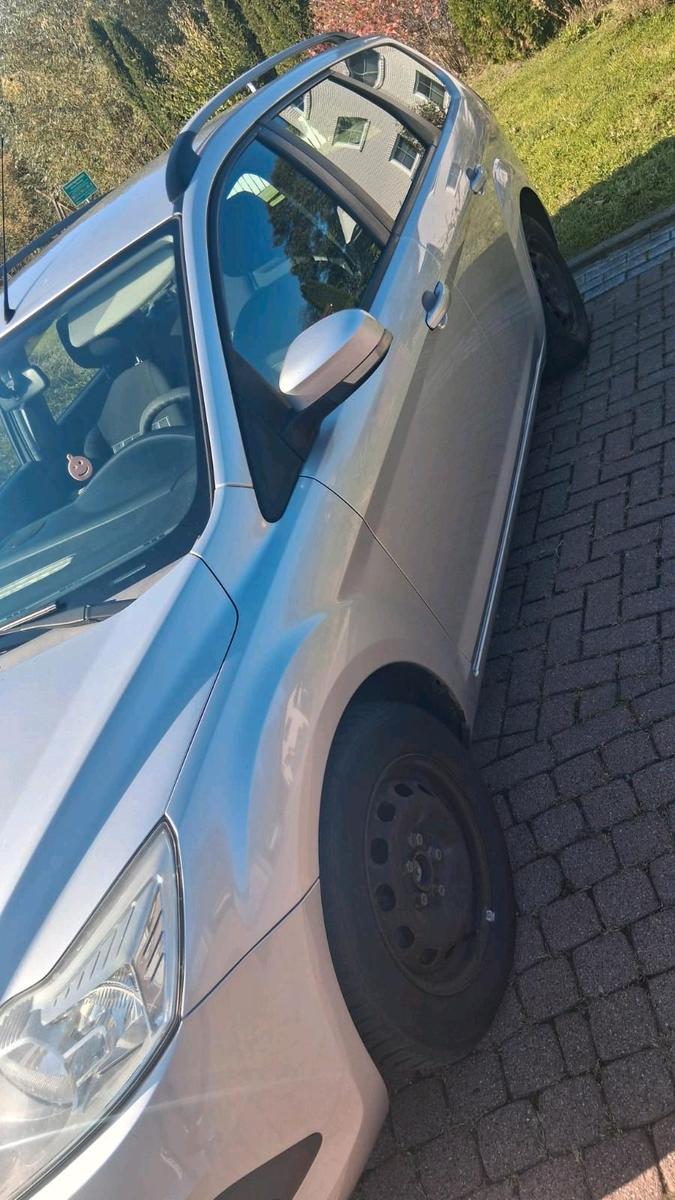 Ford Focus 2009 — вигляд ззаду