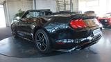 Ford Mustang 2.3 EcoBoost Premium*Leder*Kamera*Leder* - Ford Mustang: Ecoboost