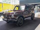 Mercedes-Benz G 450 d PROFESSIONAL rubellit Night I+II Leiter - Mercedes-Benz G 450 Gebrauchtwagen