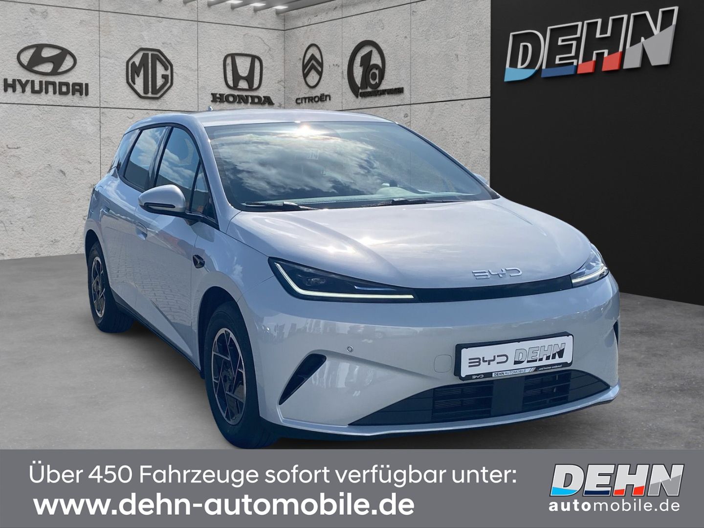 BYD DOLPHIN