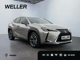 Lexus UX 250h Style Edition *Bi-LED*ACC*CAM*SHZ*CarPla - Lexus aus 2022