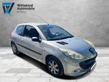 Peugeot 206 + Basis*Klima* - Peugeot 206 mit Benzin-Antrieb: Winterreifen, Kleinwagen