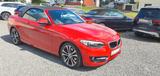BMW 228i Cabrio xdrive Navi Professional - BMW 2er Reihe: Cabrio