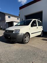 Fiat Panda Scheckheftgepflegt 47752 km - Fiat Panda in Lübeck