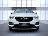 Opel Grandland X Business Elegance+LED+NAVI+LEDER+1.H - Opel: Winterreifen