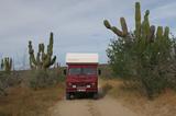 Iveco Daily 4x4 WM 40.10 Allradantrieb - Iveco Allradantrieb Wohnmobil oder -wagen Daily