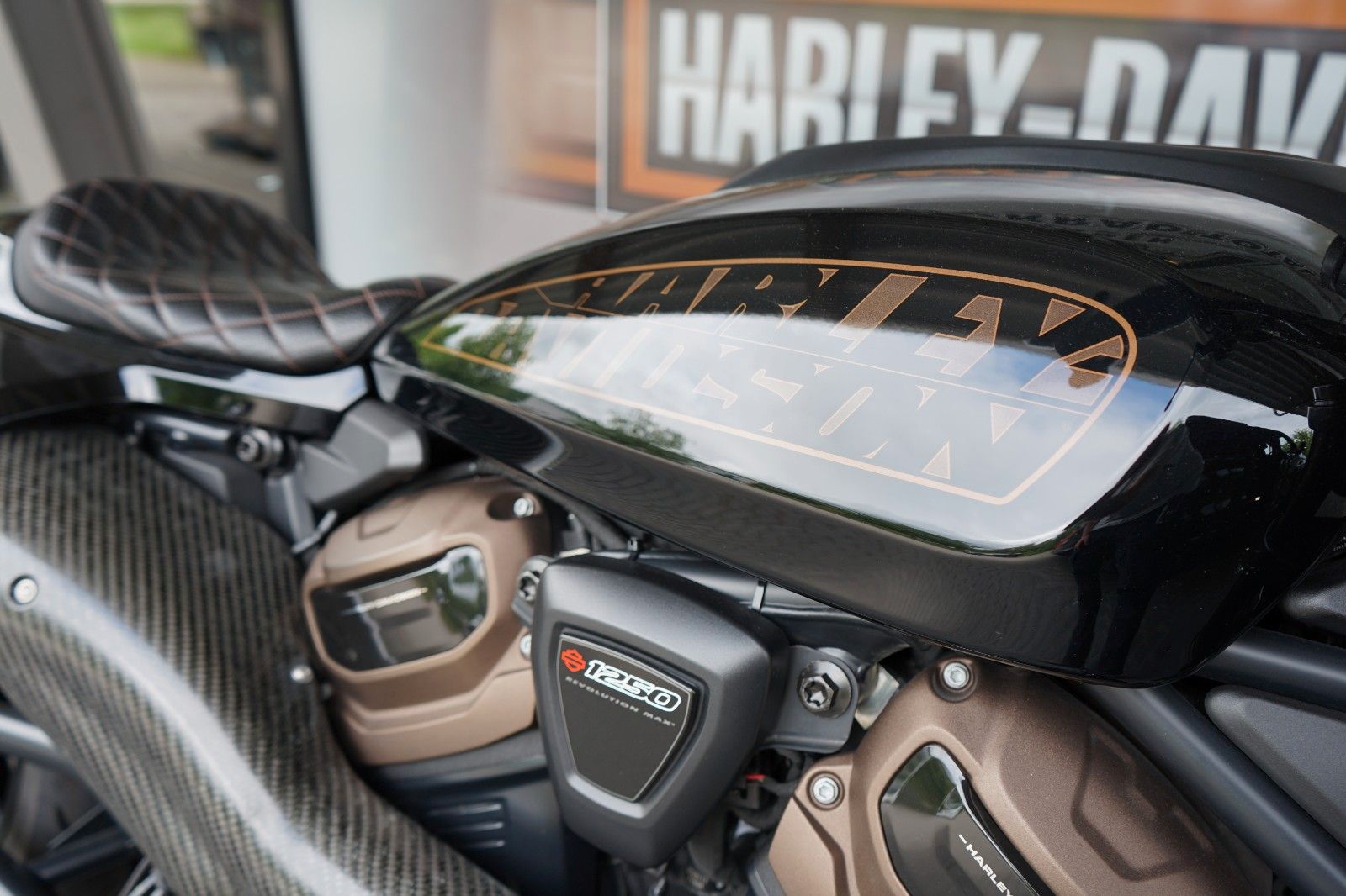 Fahrzeugabbildung Harley-Davidson Sportster S mit Jekill & Hyde und KZH, Blinker