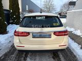 Mercedes-Benz E 220 E T-Modell E 220 d - Taxi *TÜV Neu* - Mercedes-Benz: Taxi