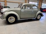 Volkswagen Käfer 1200 Export perfekt! - Volkswagen Käfer: Limousine