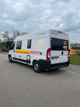 Weinsberg CaraBus 600K | 1 Jahr Garantie!!! - Weinsberg Etagenbett