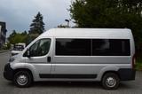 Fiat Ducato Luxusbus Panorama Modular -Rollstuhlrampe - Fiat Ducato: Panorama