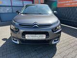 Citroën C4 Cactus Shine/Kamera/Navi/AHK/Zahnriemen/NEU/ - gebrauchte Citroën C4 Cactus aus dem Jahr 2020