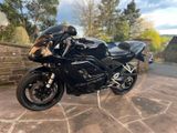 Triumph Daytona 955i Top Zustand - Offers matching your search criteria