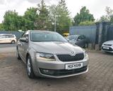 Skoda Octavia 2.0 TDI Aut.Laurin & Klement Voll Euro 6 - Skoda: Laurin