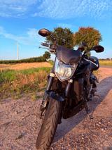 Yamaha FZ1 - Tiefer mit Sportauspuff - YAMAHA FZ