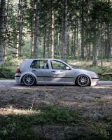 Volkswagen VW Golf 4 1,6l Airride Showauto - Volkswagen Golf aus 2000: 1.6