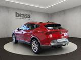 Cupra Formentor 1.5 TSI 7-Gang-DSG Basis - rote Cupra Formentor