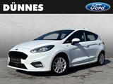 Ford Fiesta 1.0 EcoBoost ST-LINE - Ford Fiesta: Leder